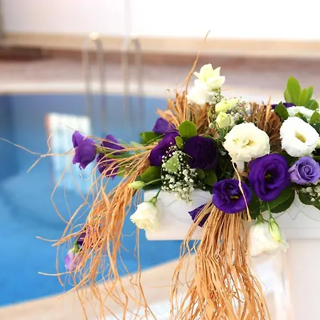 Hotel Aymira &